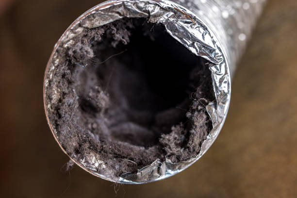 Best Air Duct Inspection  in Adrian, MN