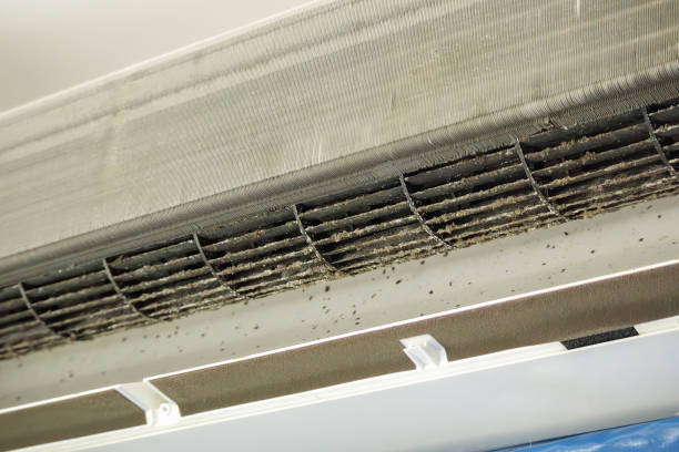 Best Air Duct Cleaning Near Me  in Adrian, MN