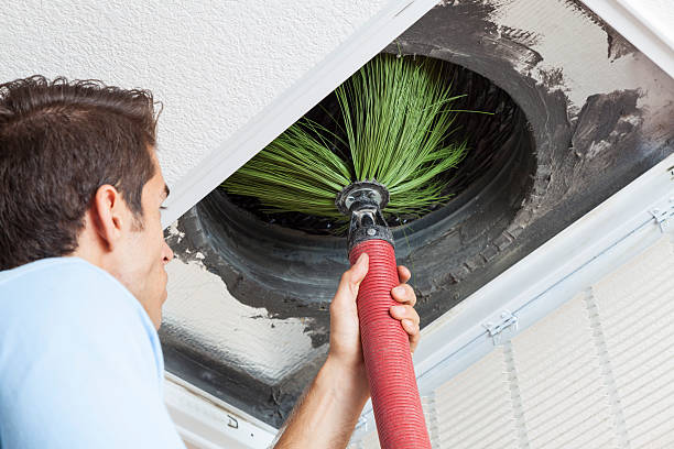 Best Local Air Duct Cleaning Services  in Adrian, MN