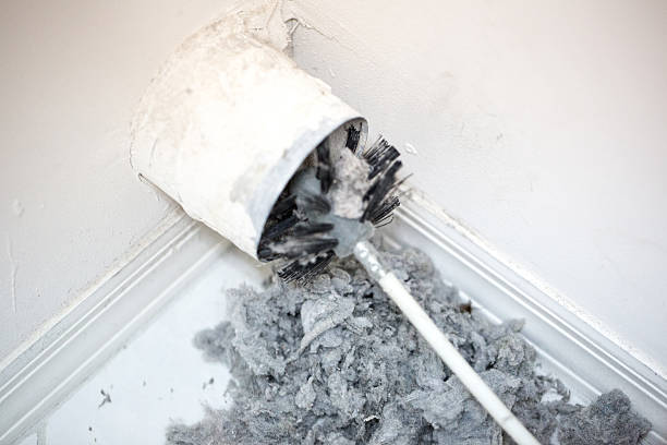 Best HVAC Maintenance and Cleaning  in Adrian, MN